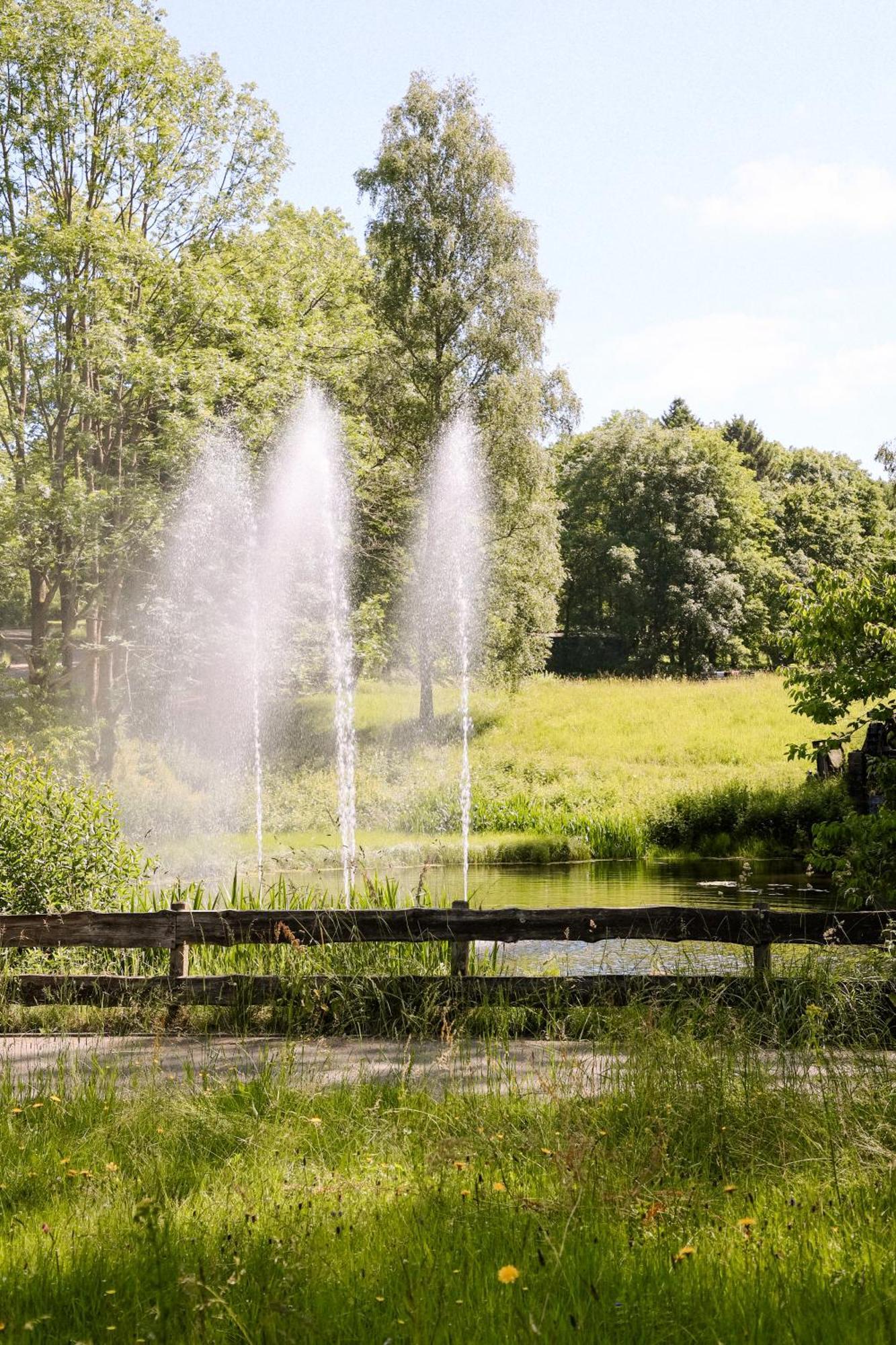 Apartment 540, Oberharz, Mit Schwimmbad Und Sauna Braunlage Eksteriør bilde